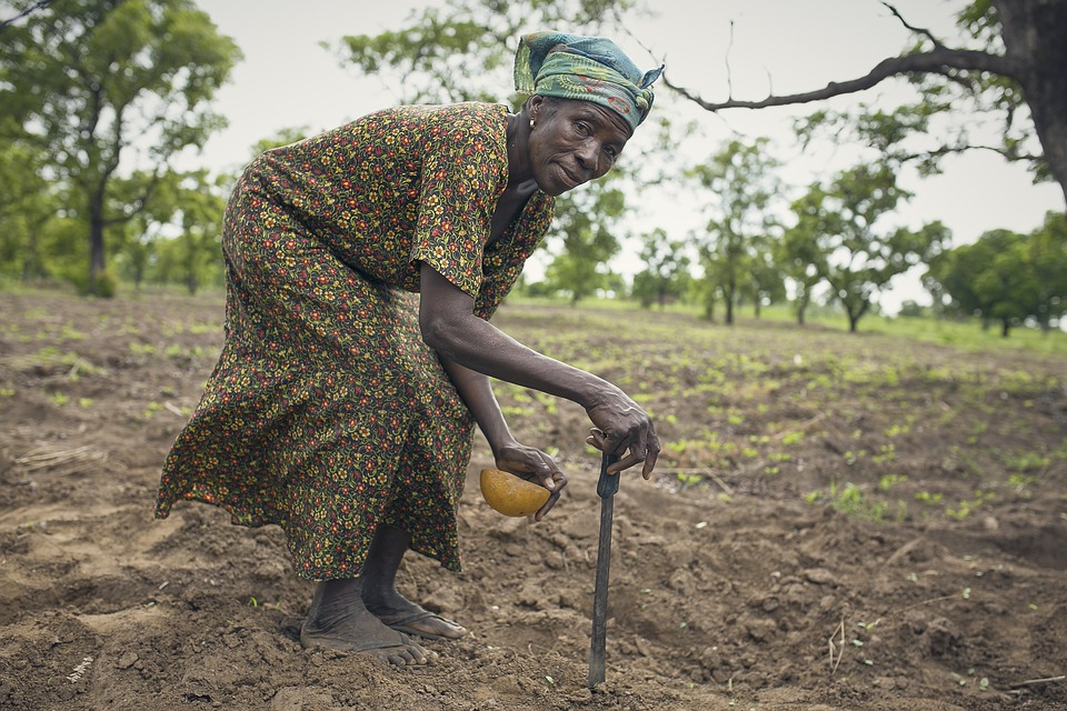 Woman Planting Farmer A Woman On Farm Africa 2839081