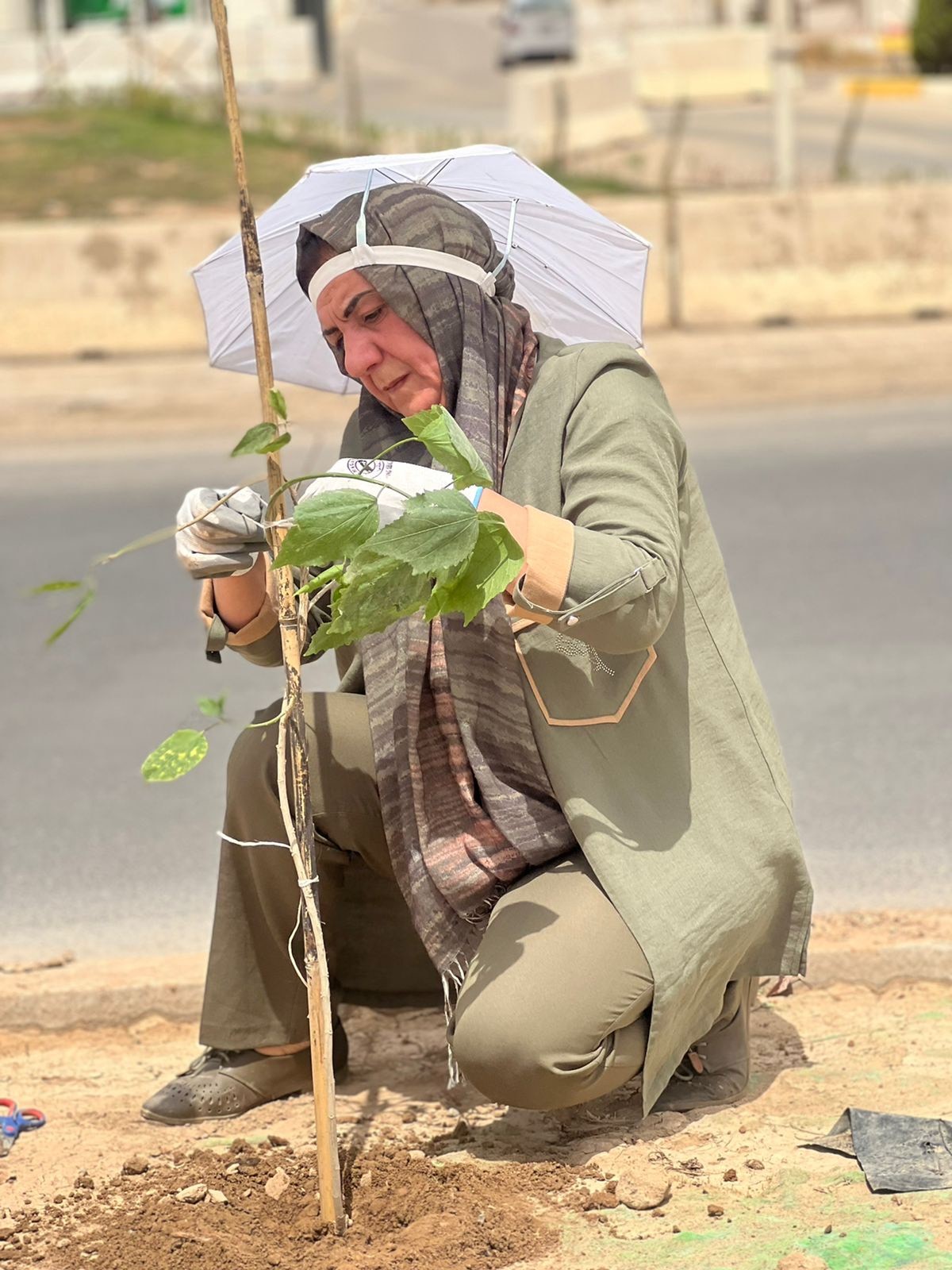 هنا كركوك شكوفا تواجه تغير المناخ بمفردها وتقضي على التصحر بالتشجير