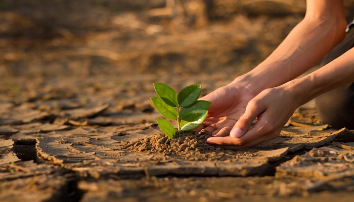 وضع النص النهائي لاتفاقية مؤتمر المناخ COP28 خارطة طريق شاملة للإجراءات والتدابير اللازمة من أجل التكيف مع تغير المناخ عالميًا حتى 2030.