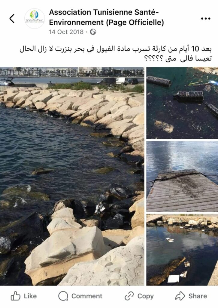 عمليات الصيانة وتنظيف السفن في تونس: القاتل الخفي في أعماق البحار